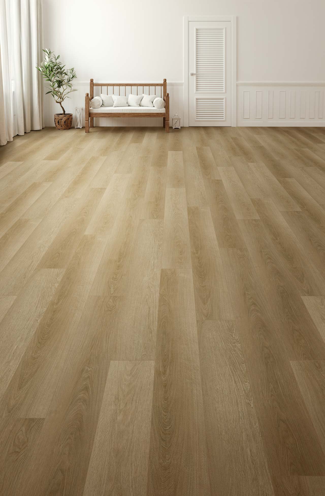 NEW STANDARD PLUS - Image 3